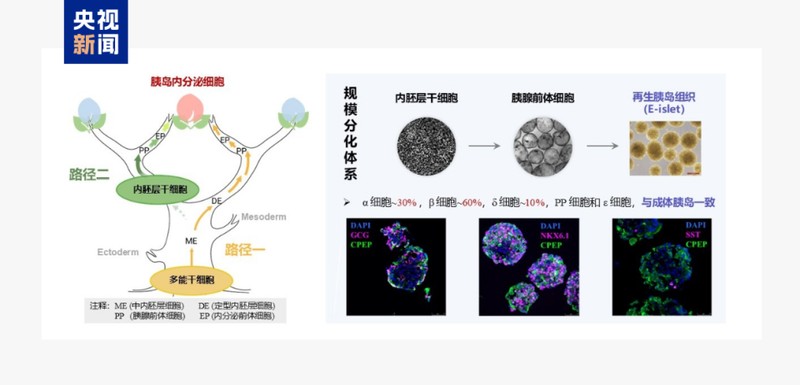  国产邮轮再突破，能源矿产添新力；医疗农业齐创新，中国科技加速向前。 IT技术