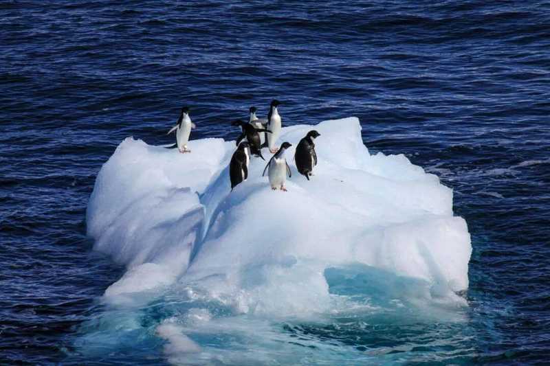  你是否感受到了气候的异样？重审全球能量失衡的深层逻辑 IT技术