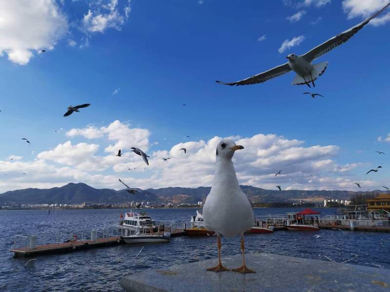  莘莘学子与家长：迎向教育资源均衡化的新契机 教育招生