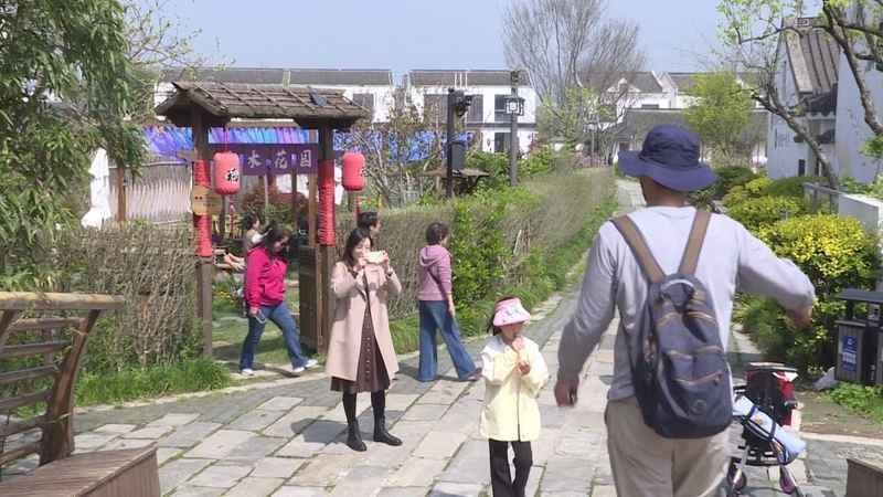  【深度解析】奉贤吴房村700亩桃林盛花期：一份基于实地的桃文化节技术观察报告 文化旅游