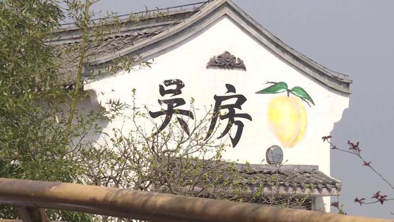  【深度解析】奉贤吴房村700亩桃林盛花期：一份基于实地的桃文化节技术观察报告 文化旅游