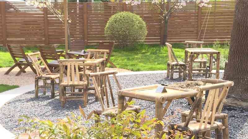  【深度解析】奉贤吴房村700亩桃林盛花期：一份基于实地的桃文化节技术观察报告 文化旅游