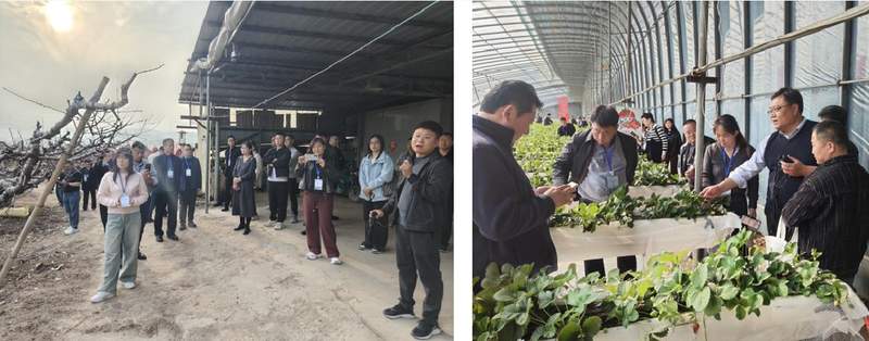 从“低头干活”到“抬头看路”:一位村支书的浙江取经之路与乡村振兴的深层思考 文化旅游