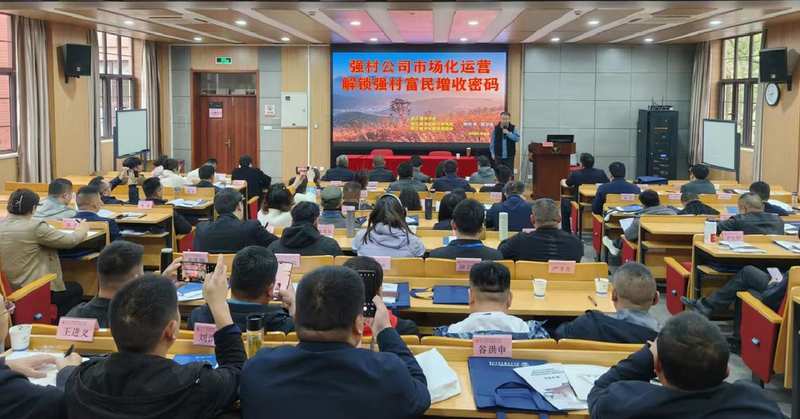 从“低头干活”到“抬头看路”:一位村支书的浙江取经之路与乡村振兴的深层思考 文化旅游