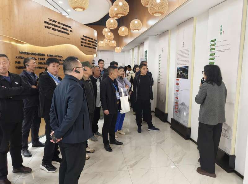 从“低头干活”到“抬头看路”:一位村支书的浙江取经之路与乡村振兴的深层思考 文化旅游