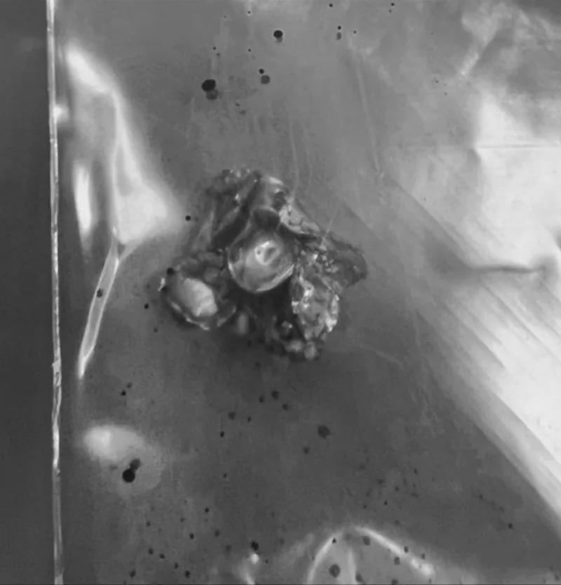 【安全警示】实弹射击高风险：普吉岛流弹伤人的技术拆解与防范指南