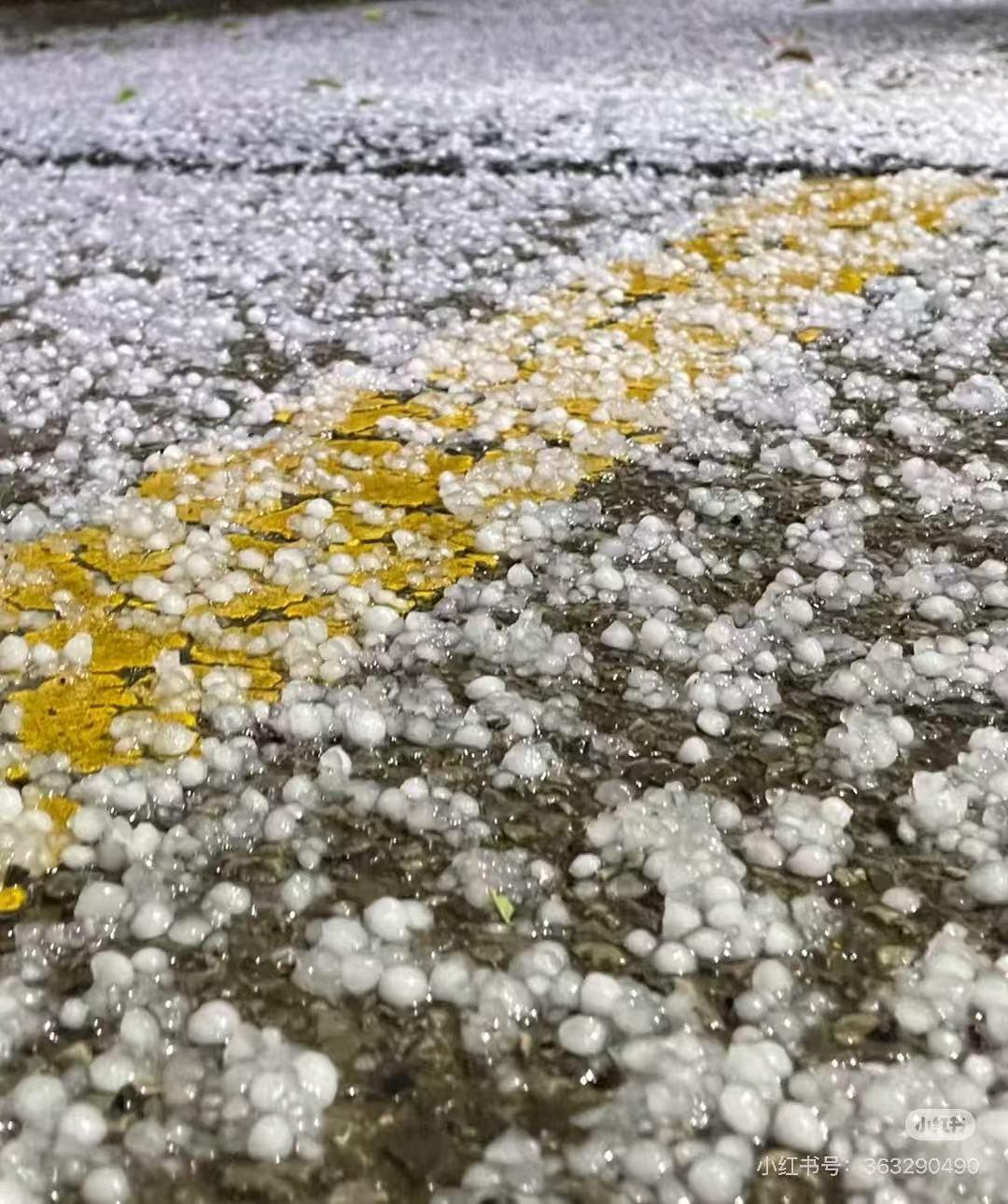  从热油锅到超级单体：武汉4·9极端天气技术解码 新闻