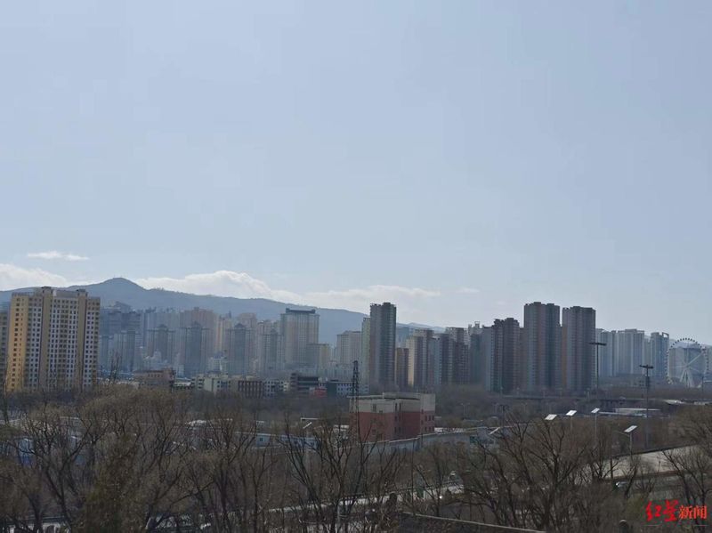  一只雪豹改变了西宁：当"雪山之王"走进城市的那些日子 文化旅游