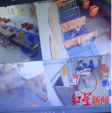  一只雪豹改变了西宁：当"雪山之王"走进城市的那些日子 文化旅游