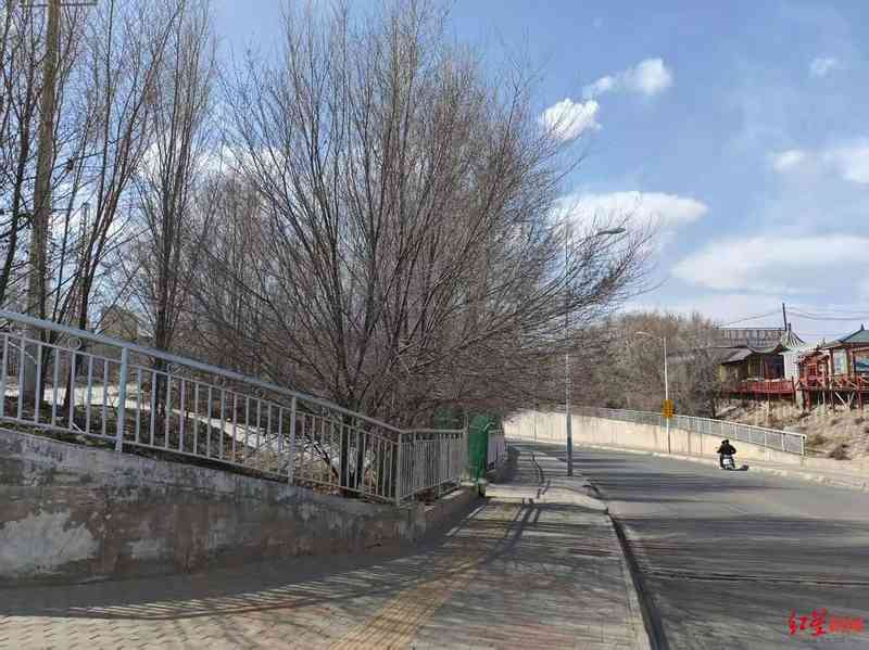  一只雪豹改变了西宁：当"雪山之王"走进城市的那些日子 文化旅游