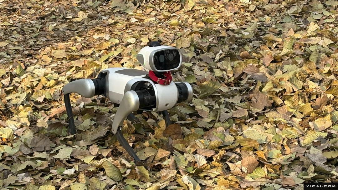  技术破局：具身智能数据荒漠中的「真实家庭」矿脉 IT技术