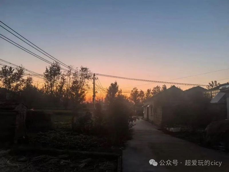 「关系心理学:三类人格障碍者的人际风险评估与主动规避策略」 情感心理