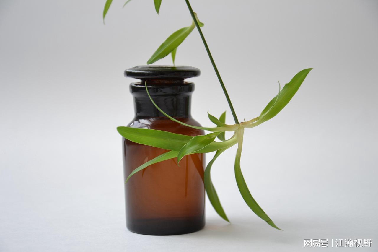  【技术解码】从石油到货架：驱蚊液价格翻倍涨的底层逻辑全解析 新闻 【技术解码】从石油到货架：驱蚊液价格翻倍涨的底层逻辑全解析 新闻
