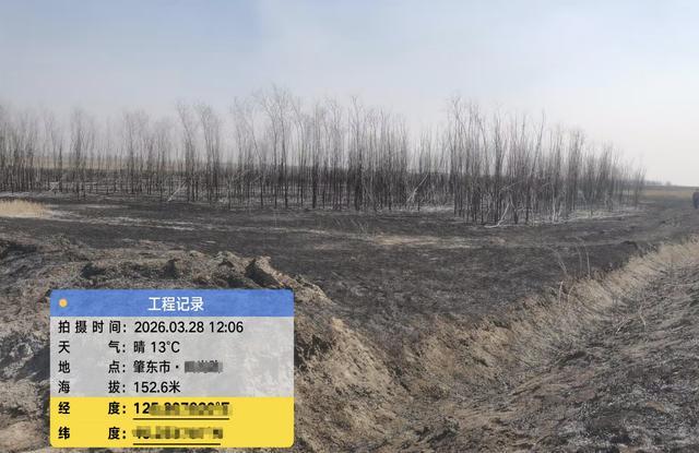  林地火灾责任困局：农场坟地与承包人权益的法律边界与技术破解 新闻