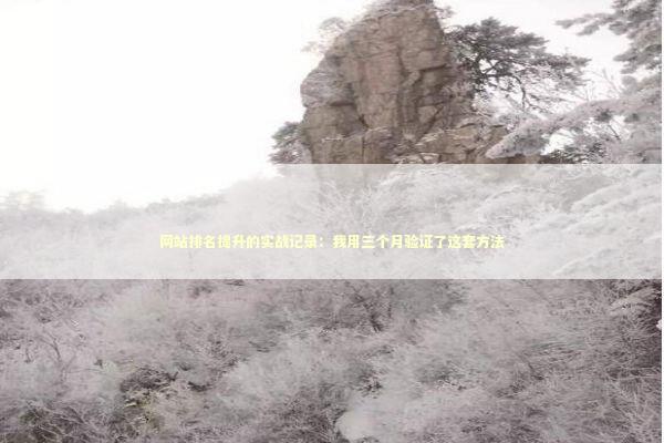 网站排名提升的实战记录：我用三个月验证了这套方法 IT技术