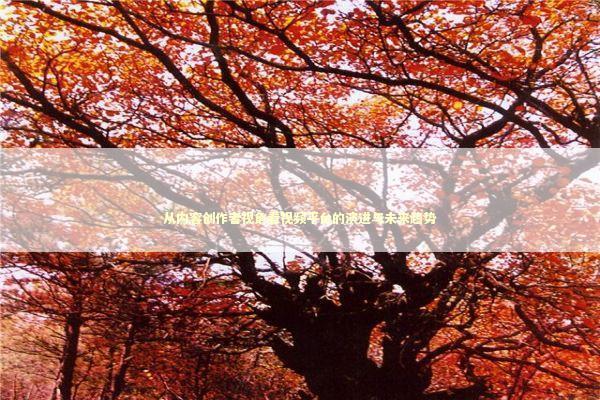 从内容创作者视角看视频平台的演进与未来趋势 影视小说