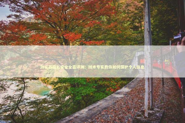 浏览器隐私安全全面评测：技术专家教你如何保护个人信息 IT技术