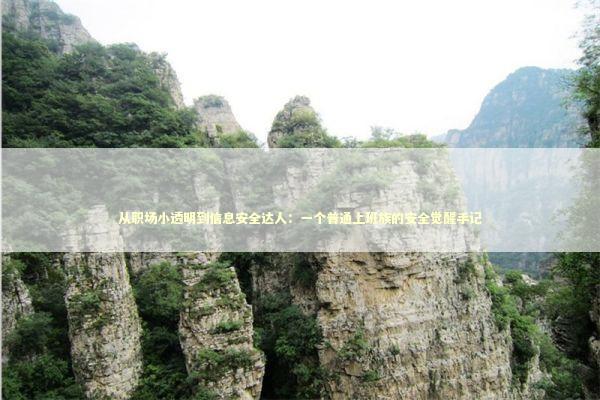 从职场小透明到信息安全达人：一个普通上班族的安全觉醒手记 IT技术